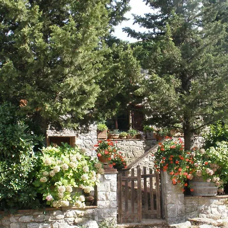 Guest house Colle Petroso Castellina in Chianti